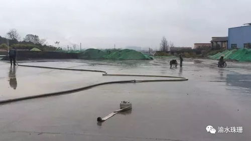 拆锅炉、抑扬尘、禁焚烧 珠珊镇大气污染防治成效显著，合同能源管理助力绿色发展